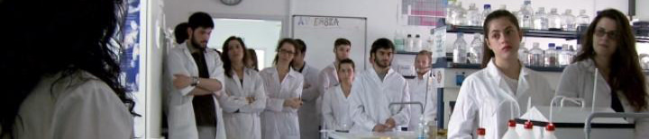 The Department of Pharmacy 